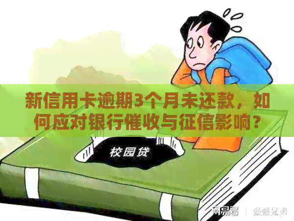 新信用卡逾期3个月未还款，如何应对银行与影响？