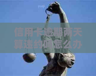 信用卡逾期两天算违约吗怎么办：解决逾期问题全攻略