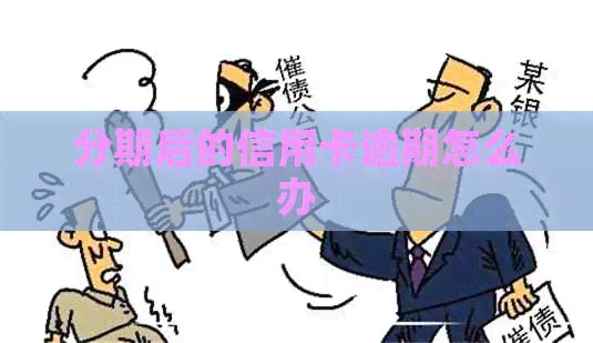 分期后的信用卡逾期怎么办