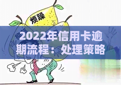 2022年信用卡逾期流程：处理策略，最新标准与政策解读