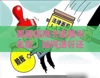 美团信用卡逾期半年后，如何进行还款和重新办理的详尽指南