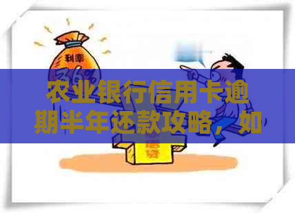 农业银行信用卡逾期半年还款攻略，如何解决？