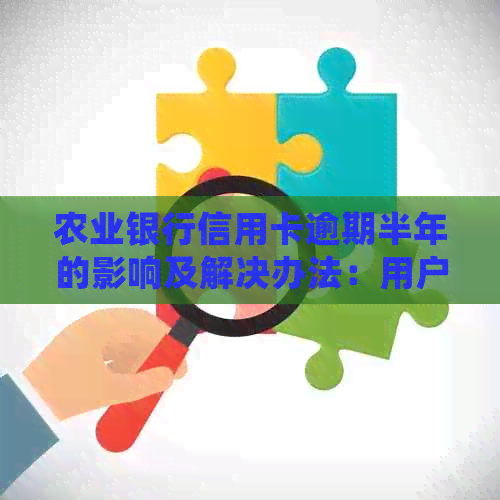 农业银行信用卡逾期半年的影响及解决办法：用户常见问题解答