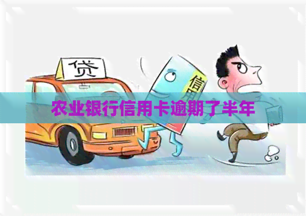 农业银行信用卡逾期了半年