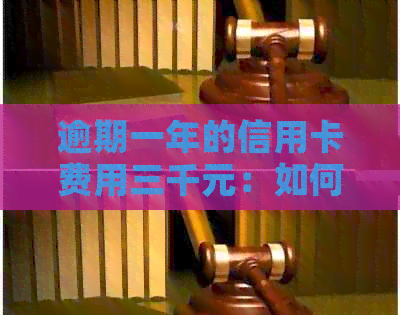 逾期一年的信用卡费用三千元：如何解决逾期罚息和利息问题？