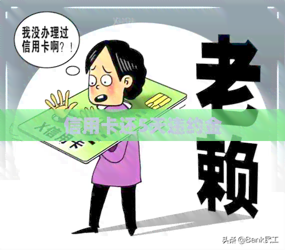 信用卡还5天违约金