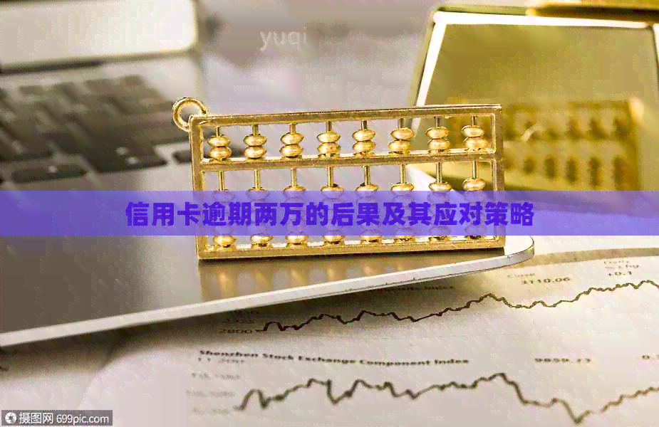 信用卡逾期两万的后果及其应对策略