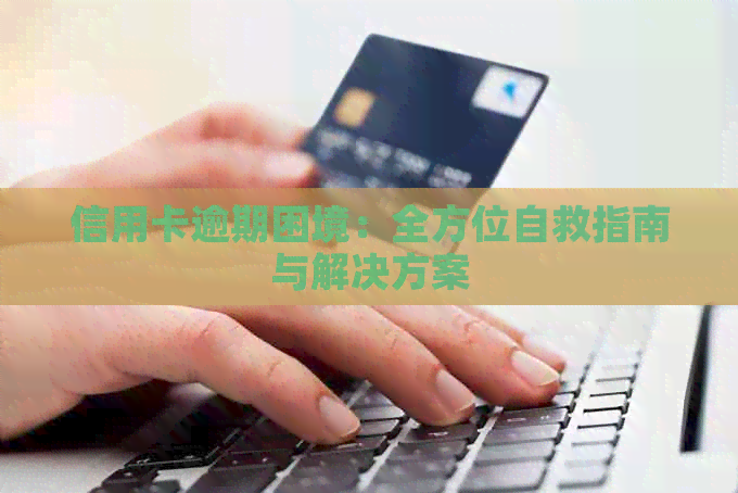 信用卡逾期困境：全方位自救指南与解决方案