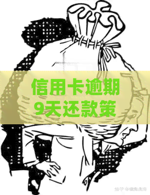 信用卡逾期9天还款策略：如何避免影响信用评分并解决债务问题
