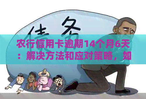 农行信用卡逾期14个月6天：解决方法和应对策略，如何尽快消除影响？
