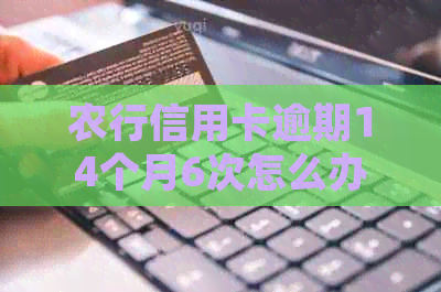 农行信用卡逾期14个月6次怎么办？2020新法规解析