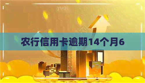 农行信用卡逾期14个月6