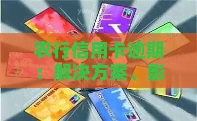 农行信用卡逾期：解决方案、影响与预防措全方位解析