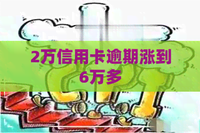 2万信用卡逾期涨到6万多