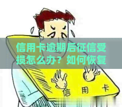信用卡逾期后受损怎么办？如何恢复信用并避免停用？