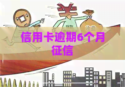 信用卡逾期6个月