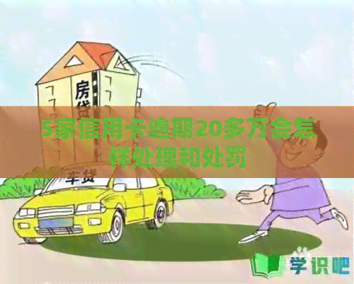 5家信用卡逾期20多万会怎样处理和处罚