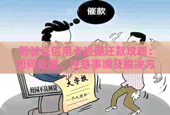 驾驶证信用卡逾期还款攻略：如何处理、注意事项及解决方案