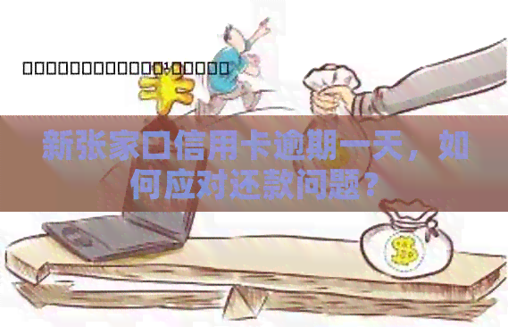 新张家口信用卡逾期一天，如何应对还款问题？