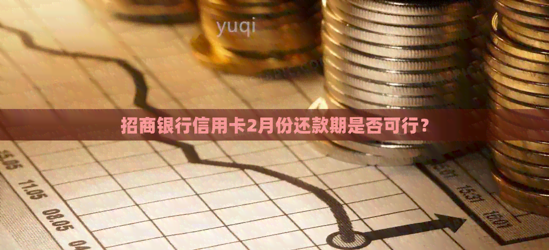 招商银行信用卡2月份还款期是否可行？