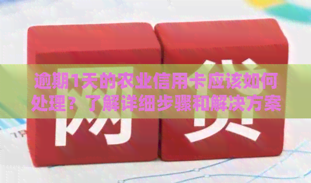 逾期1天的农业信用卡应该如何处理？了解详细步骤和解决方案