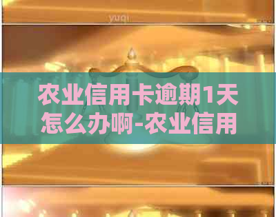 农业信用卡逾期1天怎么办啊-农业信用卡逾期1天怎么办啊