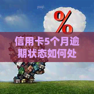 信用卡5个月逾期状态如何处理