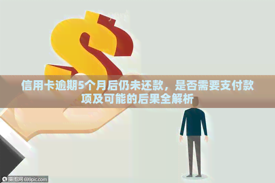 信用卡逾期5个月后仍未还款，是否需要支付款项及可能的后果全解析