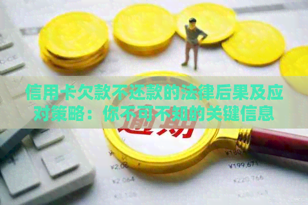 信用卡欠款不还款的法律后果及应对策略：你不可不知的关键信息