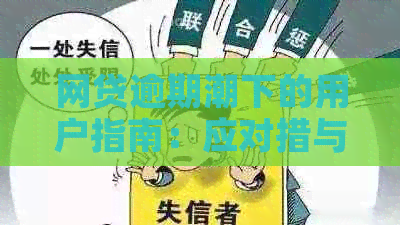 网贷逾期潮下的用户指南：应对措与解决策略