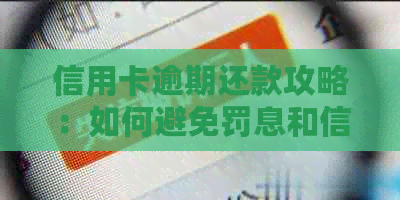 信用卡逾期还款攻略：如何避免罚息和信用损失