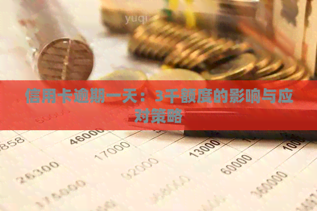 信用卡逾期一天：3千额度的影响与应对策略
