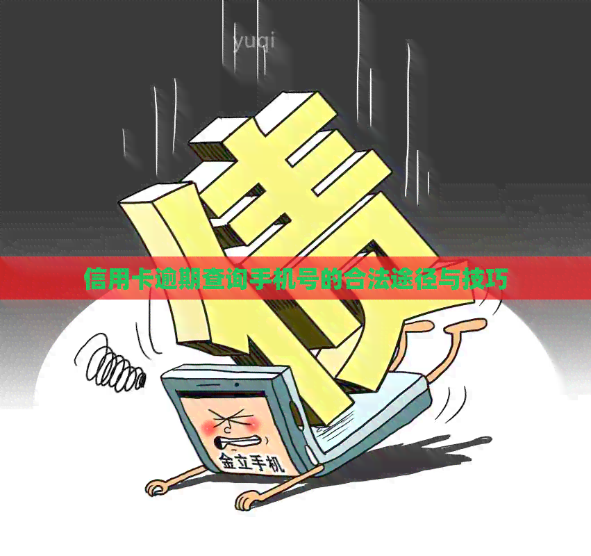 信用卡逾期查询手机号的合法途径与技巧