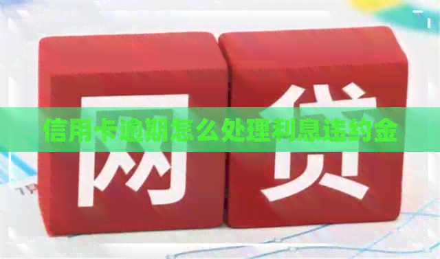 信用卡逾期怎么处理利息违约金