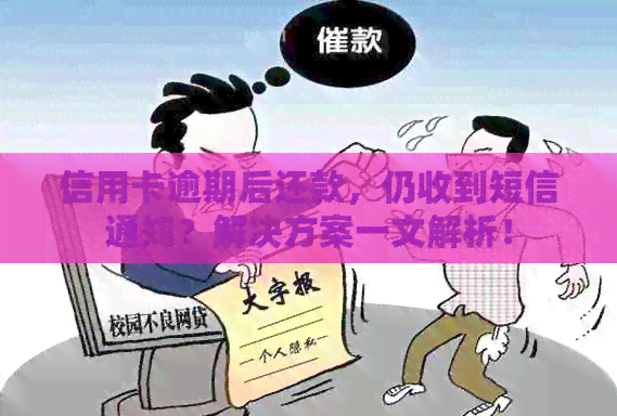 信用卡逾期后还款，仍收到短信通知？解决方案一文解析！
