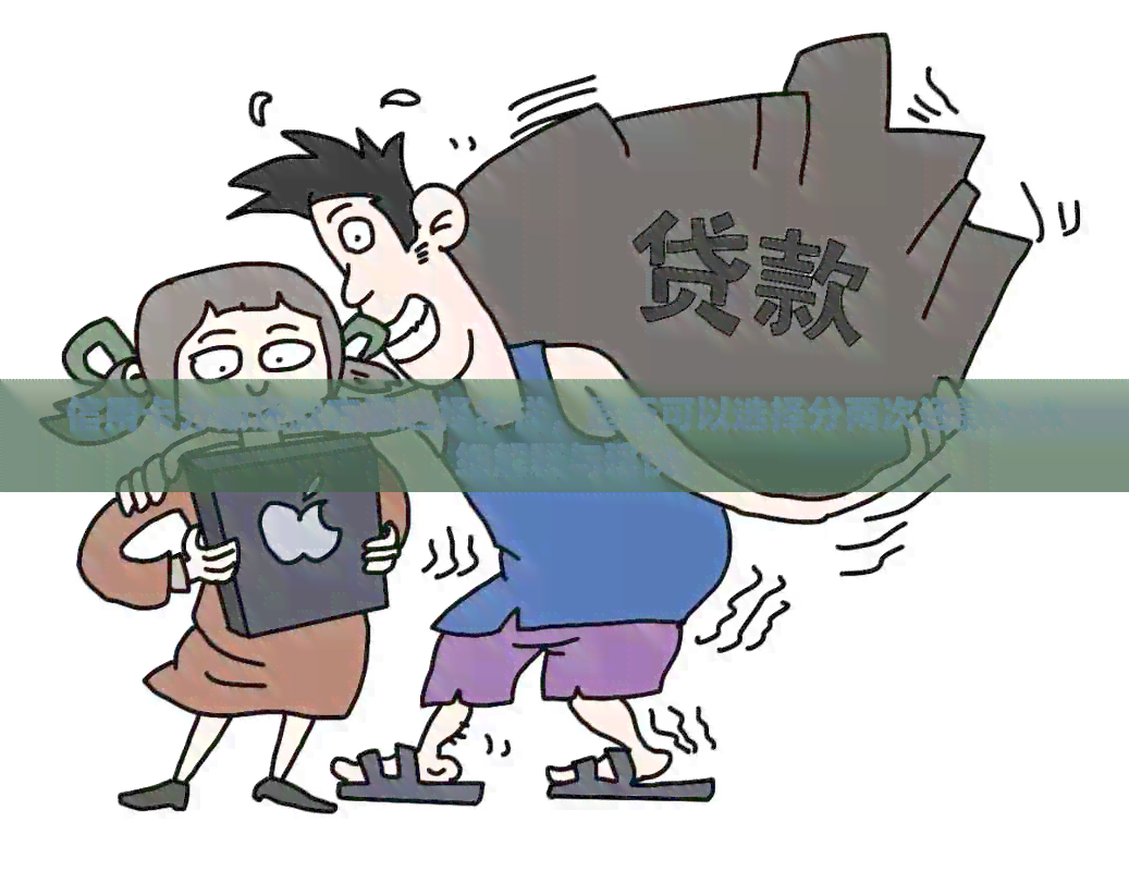 信用卡分期还款方案选择多样，是否可以选择分两次还款？详细解释与建议