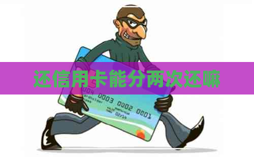 还信用卡能分两次还嘛