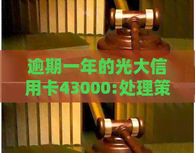 逾期一年的光大信用卡43000:处理策略与还款建议