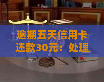逾期五天信用卡还款30元：处理策略与建议