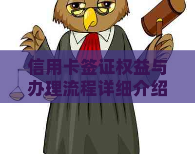 信用卡签证权益与办理流程详细介绍