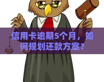 信用卡逾期5个月，如何规划还款方案？