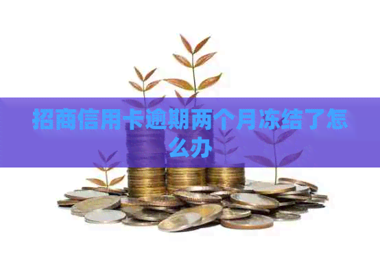招商信用卡逾期两个月冻结了怎么办