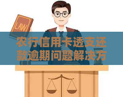 农行信用卡透支还款逾期问题解决方案