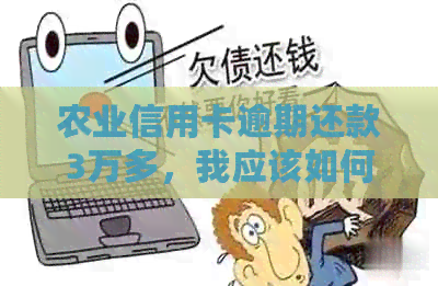 农业信用卡逾期还款3万多，我应该如何解决这个问题？