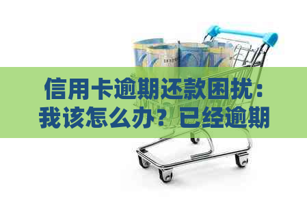 信用卡逾期还款困扰：我该怎么办？已经逾期几个月了的解决策略和建议