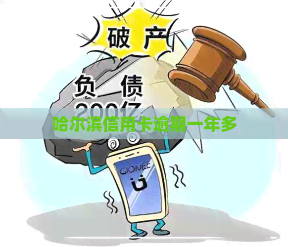 哈尔滨信用卡逾期一年多