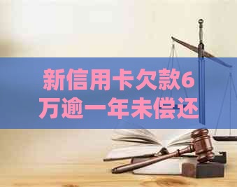 新信用卡欠款6万逾一年未偿还：探讨信用修复方案与应对策略