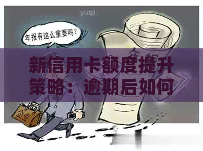 新信用卡额度提升策略：逾期后如何恢复信用并避免问题