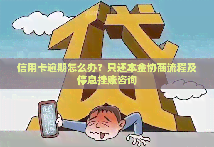 信用卡逾期怎么办？只还本金协商流程及停息挂账咨询