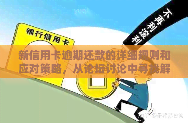 新信用卡逾期还款的详细规则和应对策略，从论坛讨论中寻找解决之道